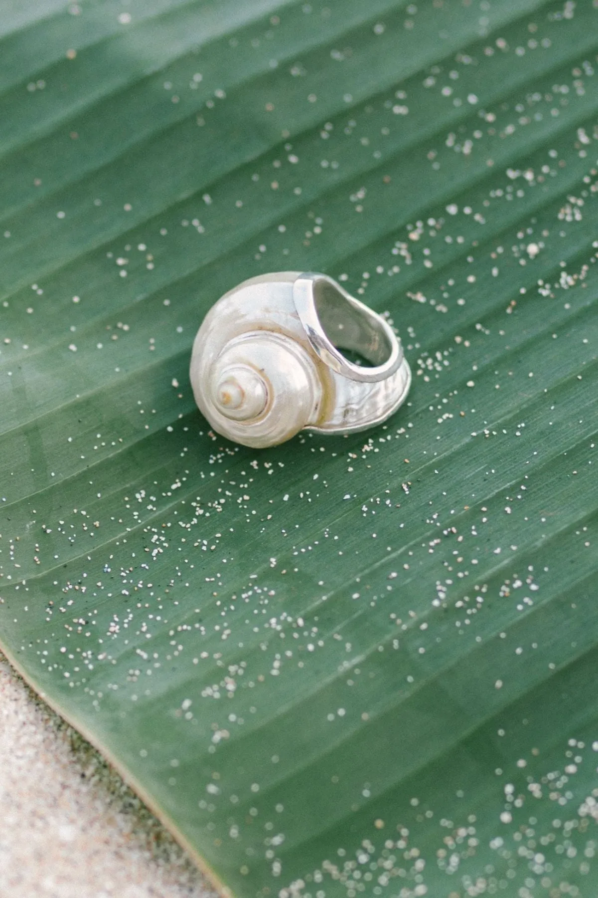 Aphrodite's Shell Ring