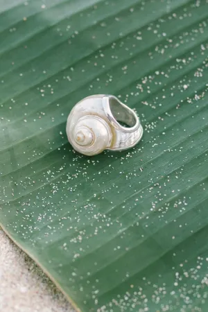 Aphrodite's Shell Ring