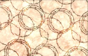 Bali Batik Handpaints Rust