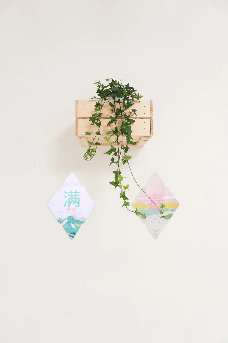 Bountiful Blessings Designer Ang Bao / Wall Decoration {Red Packet}