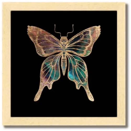 Galactic Butterfly Fine Art Print by Aimee Schreiber