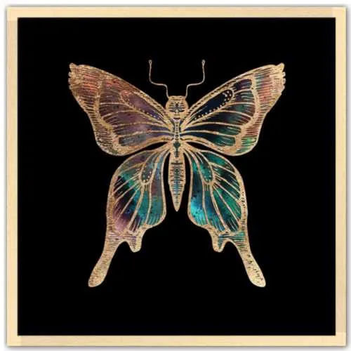 Galactic Butterfly Fine Art Print by Aimee Schreiber