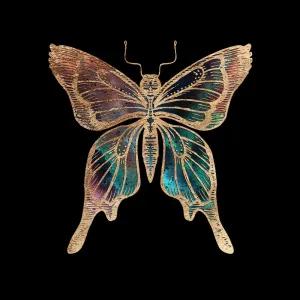 Galactic Butterfly Fine Art Print by Aimee Schreiber
