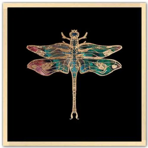 Galactic Dragonfly Fine Art Print by Aimee Schreiber