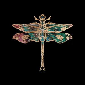 Galactic Dragonfly Fine Art Print by Aimee Schreiber