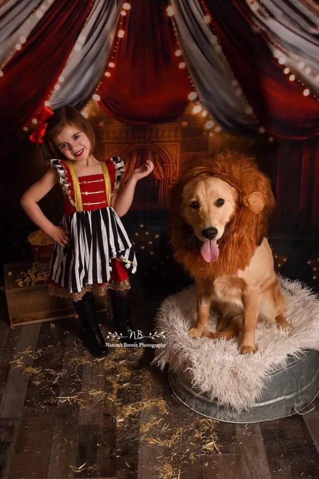 Ringmaster Dress